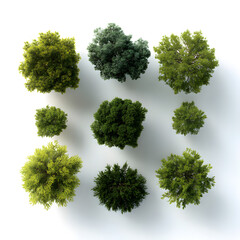 Green Tree Top Diversity A Collection of Verdant Canopies in Varied Shapes and Sizes