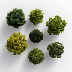 Top View of Miniature Trees on White Background, Decorative Landscape Elements