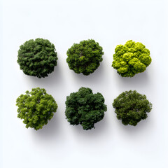 Variety of Miniature Green Bushes Displayed on a White Background for Design Resources