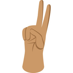 Human Hand Gesturing Peace Sign With Two Fingers Up Against A White Background Representing Victory And Positivity In A Clean And Simple Design