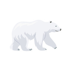 polar bear illustration on transparent background.