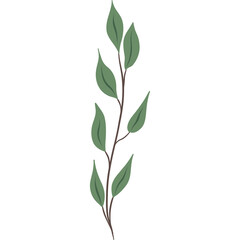 Green Leafy Branch with Dark Stem on Transparent Background Minimalist Botanical Element