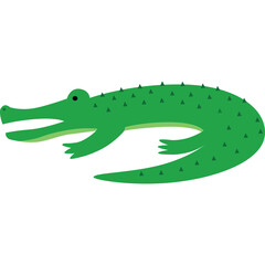 Green Crocodile Cartoon Illustration With Spikes and Open Mouth Isolated on White Background in Daylight