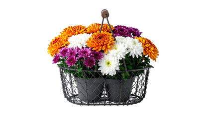 A wire basket overflowing with vibrant orange, white, and purple chrysanthemum flowers