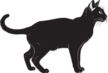 Sleek black cat silhouette elegant feline profile standing graceful animal domestic pet ready for vector conversion