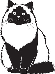 Elegant fluffy long haired cat portrait illustration featuring striking black and white fur pattern a majestic domestic feline artwork perfect for pet lovers and animal enthusiasts
