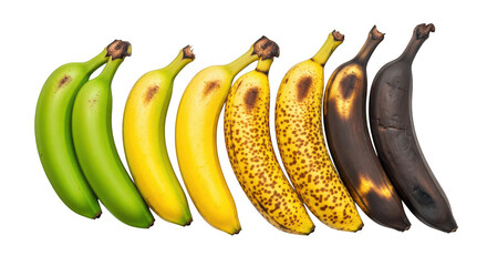 Banana Ripening Stages Green To Overripe On Black