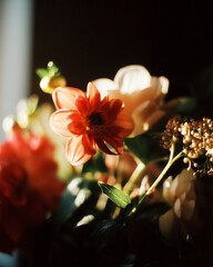 sunlit red alstroemeria and rose bouquet