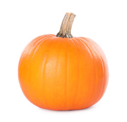 One whole ripe pumpkin isolated on white