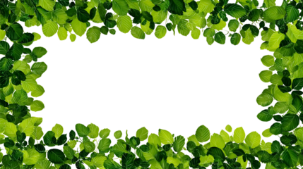 Green leaves border frame with black copy space background