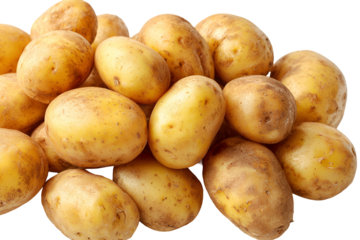 Pile of fresh raw yukon gold potatoes with golden skin
