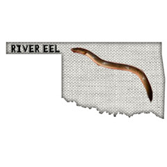 Fish of Oklahoma  water ways 