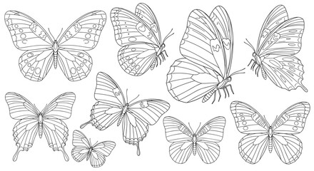 Vector art of collection of beautiful butterflies in line art style