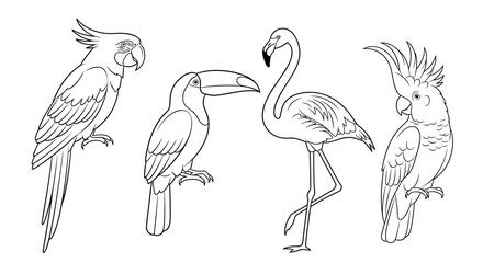 Obraz premium Illustration of four tropical birds, parrot, toucan, flamingo