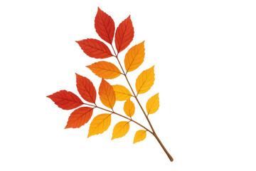 Naklejka premium Autumn branch having colorful fall leaves, red, orange, and yellow hues, isolated on transparent background