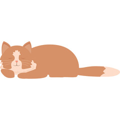 Cute Fluffy Orange Cat Sleeping Peacefully With Eyes Closed And White Chest And Tail Tip Against A Transparent Background Peaceful Relaxation Pet Animal
