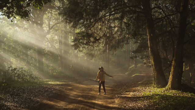 Asian woman traveler is happy with the scenic dirt road through a dense mountain pine forest in San Pa Kia Mt., Chiang Dao, Chiang Mai, Thailand.