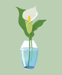 Elegant Minimalist Calla Lily Plant Illustration in Glass Vase perfect for Modern Interior Design and Nature Concept Art