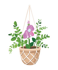 Elegant Sweetpea Plants Flower Bouquet in Woven Basket Vector Illustration Clean Aesthetic Design Element for Greeting Cards