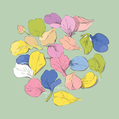 Abstract Sweetpea Plants Flower Petals Vector Graphic Illustration for Creative Artistic Presentation and Modern Template Elements