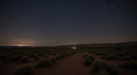 Desert night scene with dark sky and distant headlights