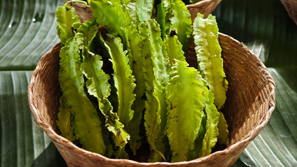 Fresh winged beans in the market