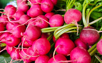 Fresh radish at the market