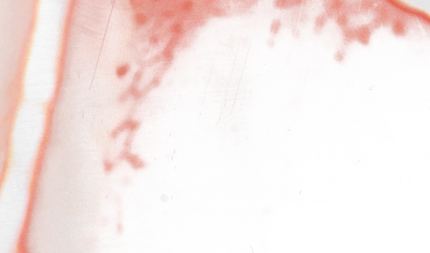 Vintage photo lens vignette template with dust and splatters and red glare on transparent background (png image). Useful for design, vintage film effects, and backgrounds - Powered by Adobe