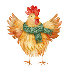 rooster isolated on white