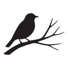 bird on a branch