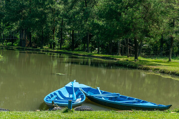 a small blue boat resting on the grassy bank of a lake. In the background, there is a dense forest of tall, green trees. The water reflects the surrounding trees and the sky.