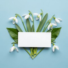 Creative layout made with snowdrop flowers on bright blue  background. Flat lay. Spring minimal concept.
