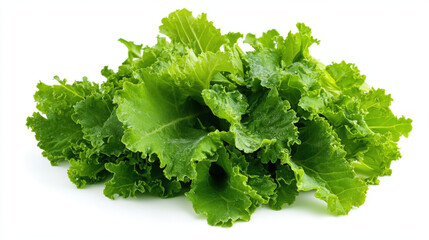 Fresh mustard greens isolated on white background, perfect for healthy eating
