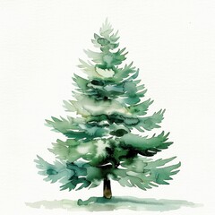 Christmas tree festival conifer plant.