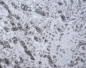 Light gray marble, seamless background with a natural stone pattern close-up.