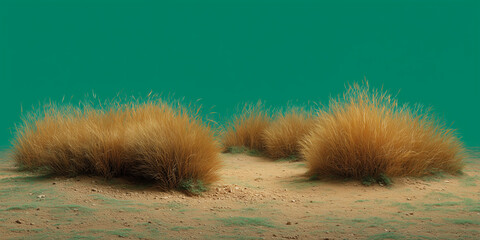Underwater Scene with Brown Seaweed and Sandy Bottom