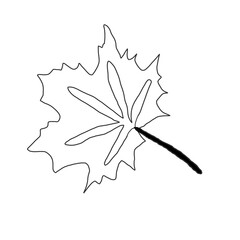 Naklejka premium illustration of a leaf