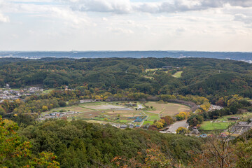 日和田山から見下ろす巾着田