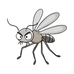 Angry cartoon mosquito on white background
