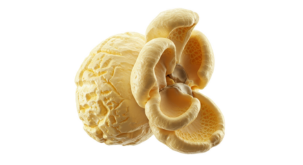 Golden Butter Popcorn Kernels with Soft Light Isolated on Warm Beige Background