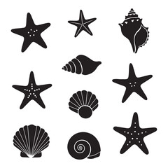 Set of different black sea shells and starfish