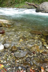 Fototapeta premium 日本の奥多摩の川の流れ