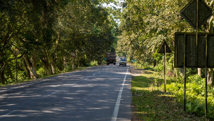 Road with lush green vegetation on both sides at Kaziranga Assam India