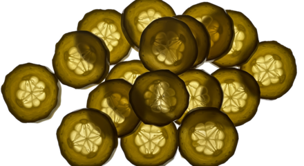 Golden Cucumber Slices Backlit with Seed Details and Crisp Edges