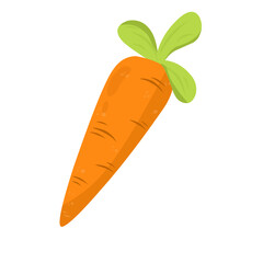 carrot vector illustration