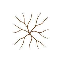 Obraz premium Interconnected abstract natural brown branch pattern on white background