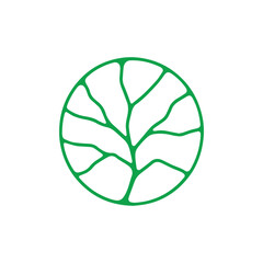 Green organic tree branch vein pattern inside a perfect circle a fresh nature abstract symbol
