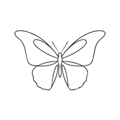 Elegant butterfly line art illustration