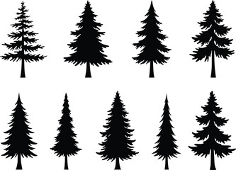 Coniferous tree silhouettes, evergreen tree shapes, pine tree icons, forest vector graphics, black tree outlines, winter tree illustration, nature design elements, botanical tree forms