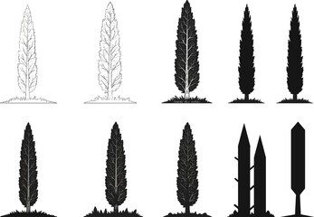 Cypress tree illustrations, black silhouette artwork, vertical nature design, botanical structure concept, foliage variation, minimal style, landscape element, artistic layout, evergreen tree form